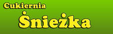 Logo firmy