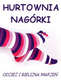 Logo firmy