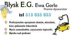 Logo firmy