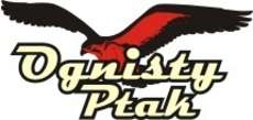 Logo firmy