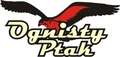Logo firmy