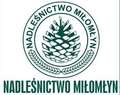 Logo firmy